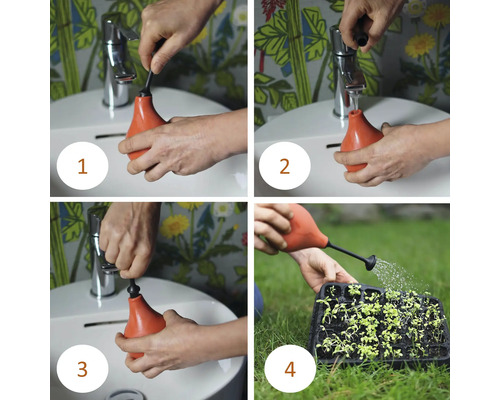 L''image montre l''utilisation étape par étape d''un outil d''arrosage pour arroser les semis.