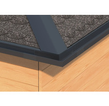 Dachschindeln mit Dachrandabschluss und Holzfassade