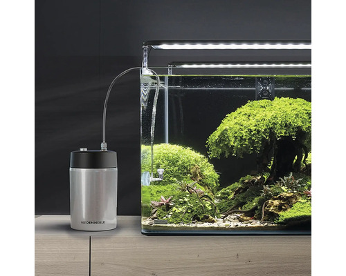Aquarium mit CO2-Anlage und bepflanztem Becken