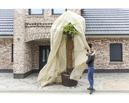 Pflanzenschutzhaube für Palme mit Frau vor Haus