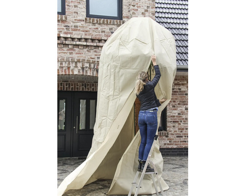 Eine Frau steht auf einer Leiter und zieht eine Schutzhülle über eine Pflanze im Freien.