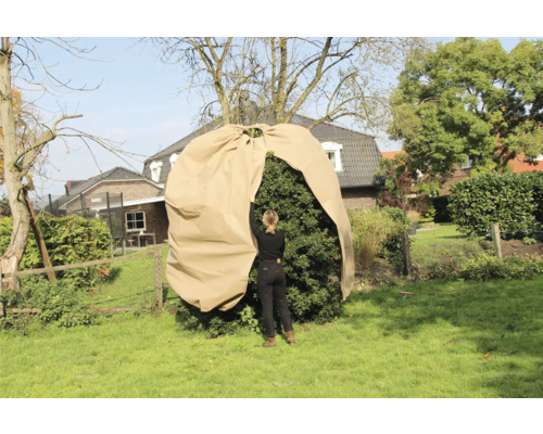 Frau deckt Pflanze mit Winterschutzsack im Garten ab.