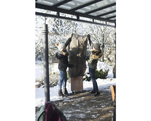 Zwei Personen verpacken eine Pflanze mit einer Schutzhülle für den Winter