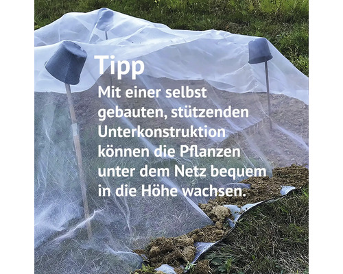 Gemüsegarten mit Schutznetz und Stützkonstruktion für Pflanzen