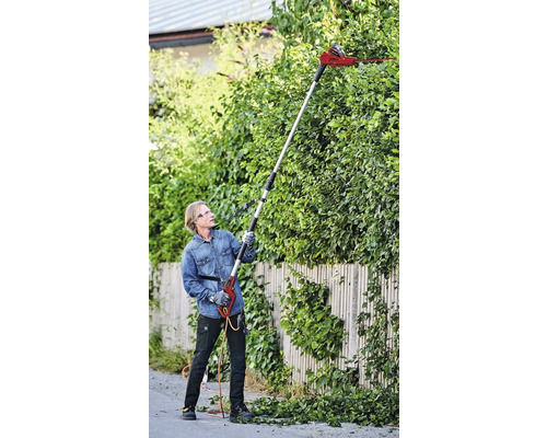 Eine Person beschneidet eine Hecke mit einer elektrischen Heckenschere mit Teleskopstiel.