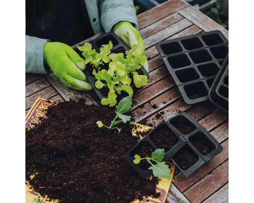 Anzuchtschalen und Erde für die Aufzucht von Pflanzen