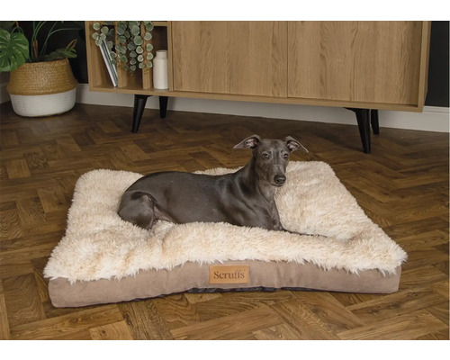 Chien allongé sur un lit pour chien de la marque Scruffs