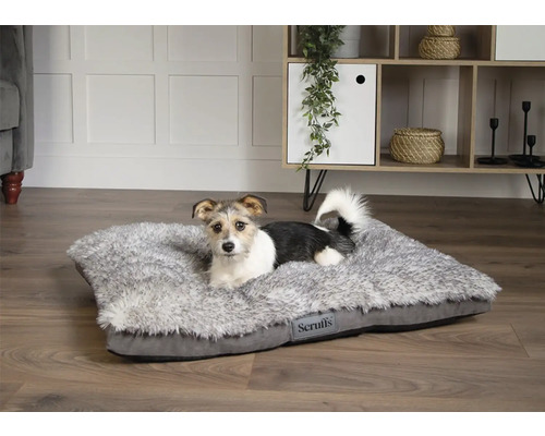 Chien allongé sur un lit pour chien rectangulaire gris Scruffs dans une pièce lumineuse.