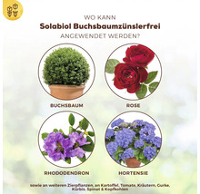 Anwendungsbereiche für Solabiol Buchsbaumzünslerfrei: Buchsbaum, Rose, Rhododendron, Hortensie sowie weitere Zierpflanzen, Kartoffeln, Tomaten, Kräuter, Gurken, Kürbis, Spinat und Kohl