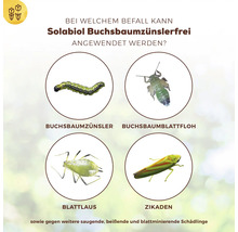 Anwendungsbereiche von Solabiol Buchsbaumzünslerfrei: Buchsbaumzünsler, Buchsbaumblattfloh, Blattlaus, Zikaden und andere saugende, beissende und blattminierende Schädlinge