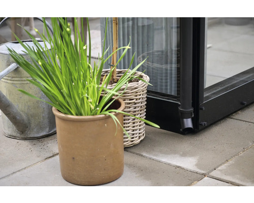 Extérieur avec plantes en pot et arrosoir devant une serre