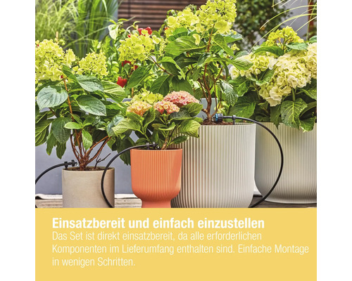 Blumen in Pflanzgefässen mit Bewässerungssystem