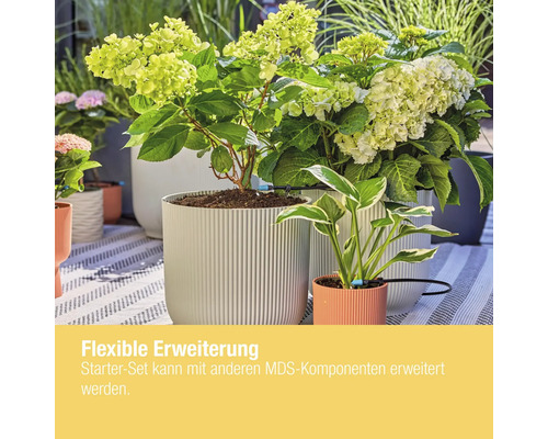 Szene mit Pflanzen in Töpfen und einem Bewässerungssystem für Pflanzen.