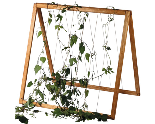 Treillis d''escalade autoportant en bois avec plante grimpante