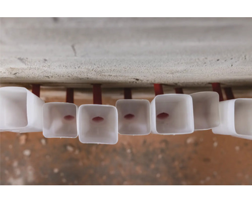Plusieurs chevilles d''isolation en plastique fixées à un plafond