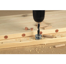 Dübelfix Wolfcraft Ø 10 mm 4er Pack