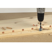 Dübelfix Wolfcraft Ø 10 mm 4er Pack