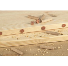 Fixation des chevilles Wolfcraft Ø 8 mm, lot de 4