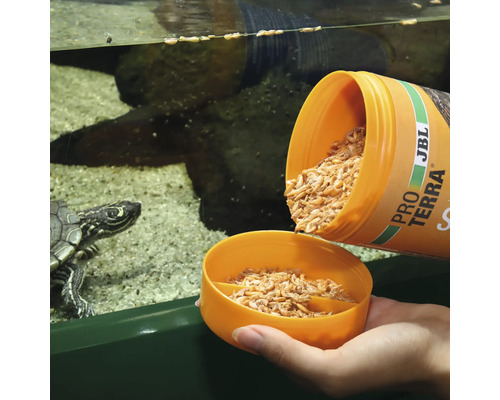 Nourrissage d''une tortue d''eau avec de la nourriture JBL Pro Terra