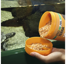 Futter für Wasserschildkröten wird in einen Behälter gegossen.