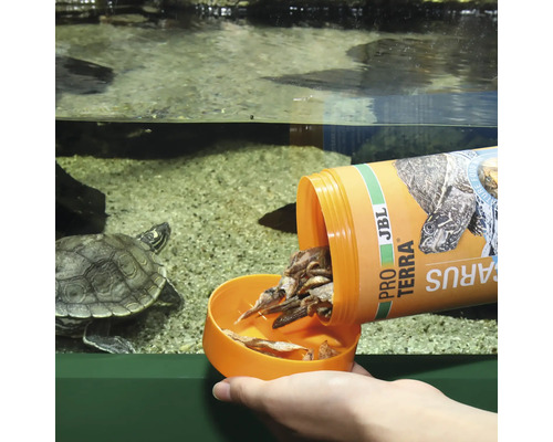 Fütterung einer Schildkröte mit JBL Pro Terra Testudo Futter