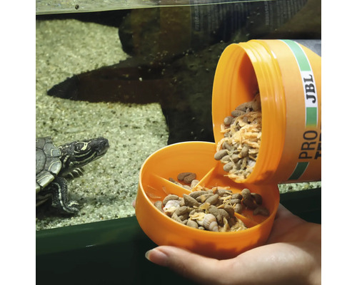 Fütterung einer Schildkröte mit JBL Proteinfutter