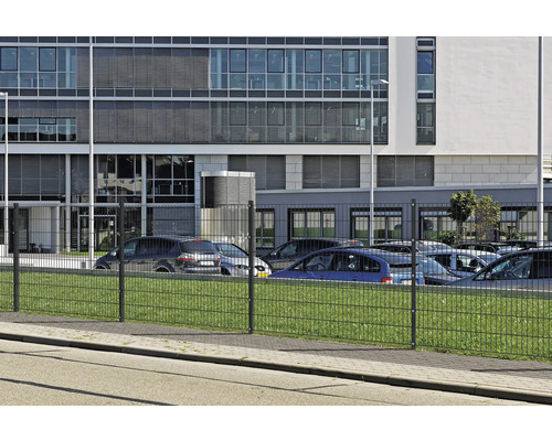 Doppelstabmattenzaun vor einem Bürogebäude und geparkten Autos