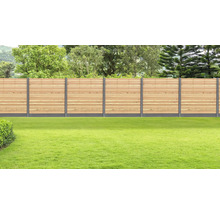 T-Pfosten Beton 10 x 10 x 280 cm anthrazit