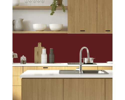 Küchenszene mit Spüle, Armatur, Kochfeld und Arbeitsplatte vor einer farbigen Küchenrückwand