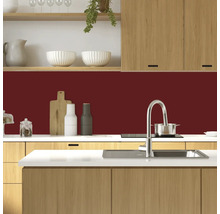 Moderne Küche mit Spüle, Kochfeld und bordeauxroter Küchenrückwand