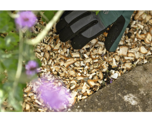 Gros plan de copeaux de bois, gants de jardinage et plante