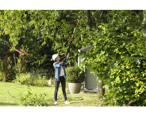 Frau im Garten, die einen Baum mit einer Astschere schneidet