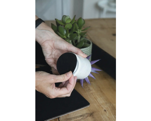 Dekorativer Pflanztopf mit Filzgleiter wird auf einer Tischoberfläche platziert.