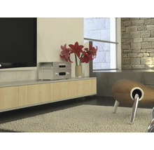 d-c-fix® Klebefolie Holzdekor Ahorn 90x210 cm