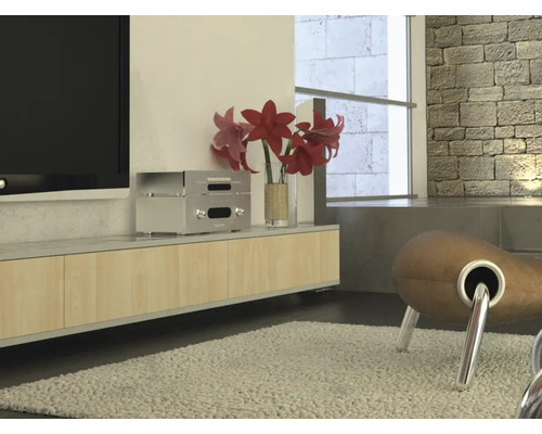 Modernes Wohnzimmer mit Lowboard, TV und Dekoration