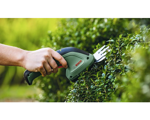 Person schneidet mit einer Bosch Strauchschere eine Hecke.