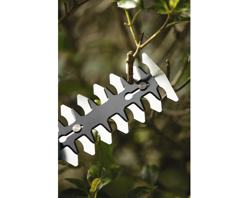 Nahaufnahme einer Heckenschere beim Schneiden eines Zweiges.