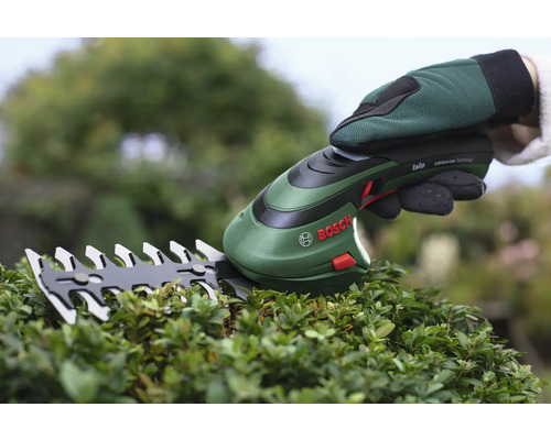 Bosch Logo. Akkuschere beim Schneiden einer Hecke.