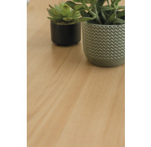 d-c-fix® Klebefolie Holzdekor Rotbuche 67,5x200 cm