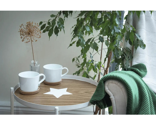 Scène avec table d''appoint, tasses, plante en pot et couverture