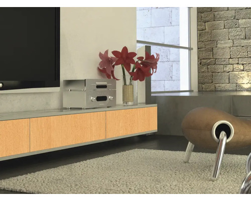 Salon avec télévision, meuble bas, plante d''intérieur et fauteuil