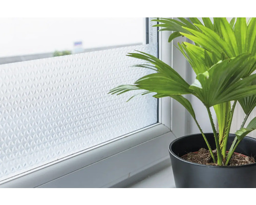 Fenster mit Sichtschutzfolie und Topfpflanze