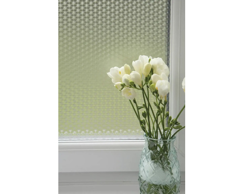 Fenster mit Sichtschutzfolie und Vase mit Blumen