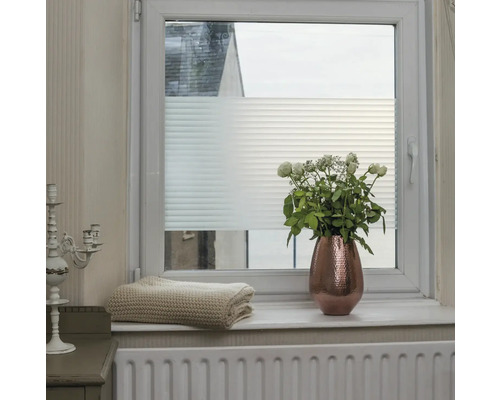 Fenêtre avec store plissé semi-transparent, décoration et radiateur