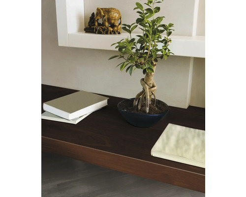 Arrangement décoratif avec une plante d''intérieur, des livres et une sculpture d''éléphant sur une étagère