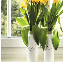d-c-fix® Klebefolie Lack uni magnolie 67,5x200 cm