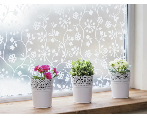 Fenêtre avec film de protection visuelle décoratif et trois pots de fleurs