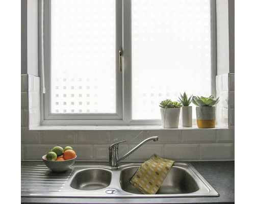 Scène de cuisine avec film de fenêtre pour l''intimité, évier et décoration