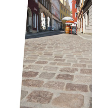 Rue pavée avec des bâtiments en arrière-plan