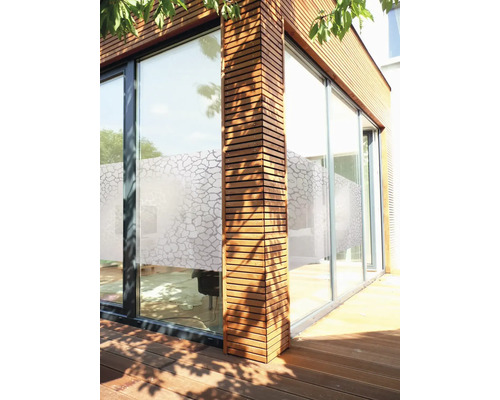 Extérieur d''une maison moderne avec revêtement en bois et grandes fenêtres avec film d''intimité.